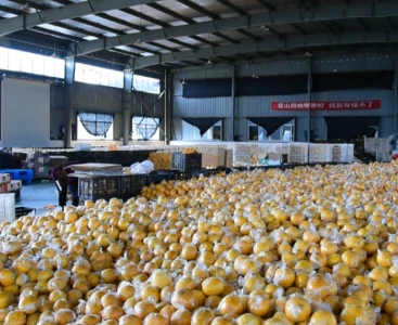 順豐快遞給手動(dòng)液壓搬運(yùn)車消毒，保障生鮮瓜果食品安全